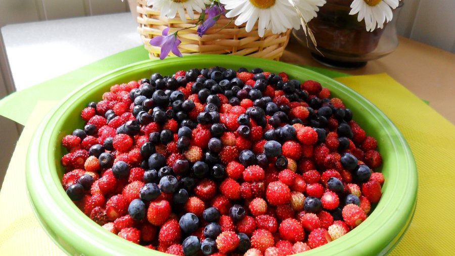 Фото № 5 конкурса «Осенние дары леса» - Конкурсы для читателей