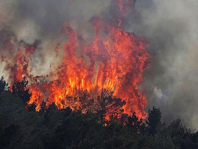 Ispanijoje dega miškas, netoli Valensijos evakuojami gyventojai - Pasaulyje