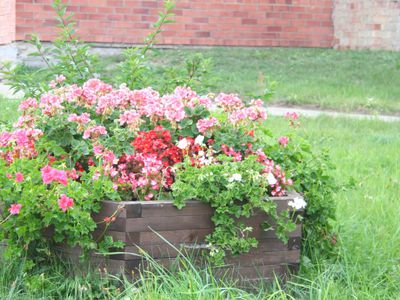 Наш город – не литовский Детройт! - Без цензуры