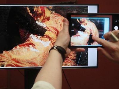В Третьяковской галерее заявили, что поврежденная вандалом картина Репина не была застрахована - В Мире
