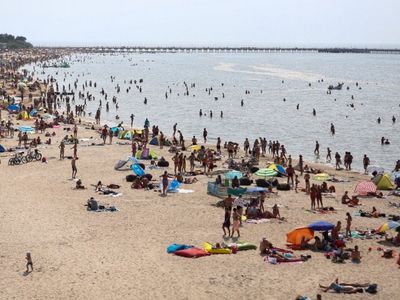 На выходных в Паланге пройдет праздник открытия сезона - Хобби, отдых и развлечения