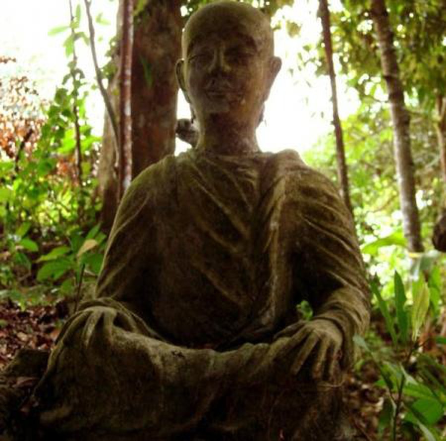 Мудрыми стариков делает рассеянное внимание - Наука и здоровье