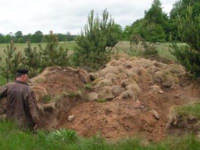 Baigta dar viena "juodosios archeologijos" byla - Įvykiai ir kriminalas