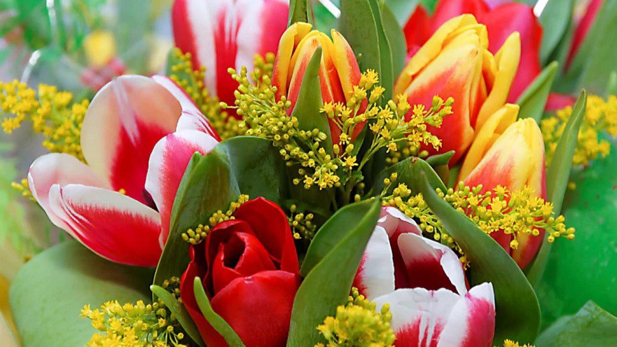 С Праздником весны – с 8 марта! - Поздравления