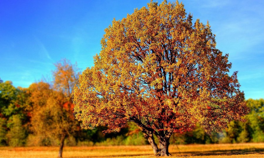 На выходных синоптики прогнозируют хорошую погоду - Литва и страны Балтии