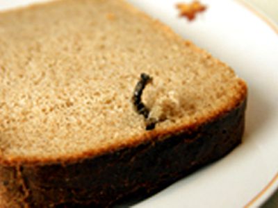 Булочка с металлической стружкой, или Что мы едим? 

 - Литва и страны Балтии