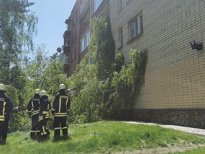 Пока думали, решали - В Висагинасе