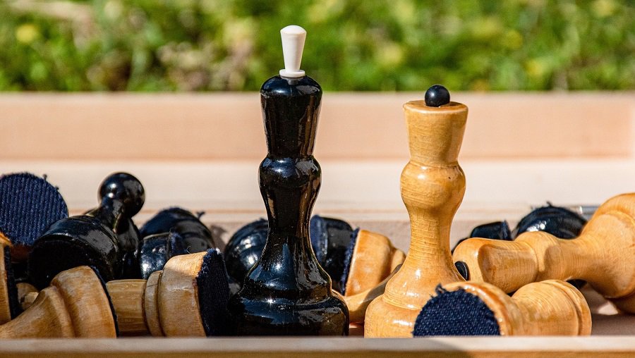 Шахматы для детей - В Висагинасе