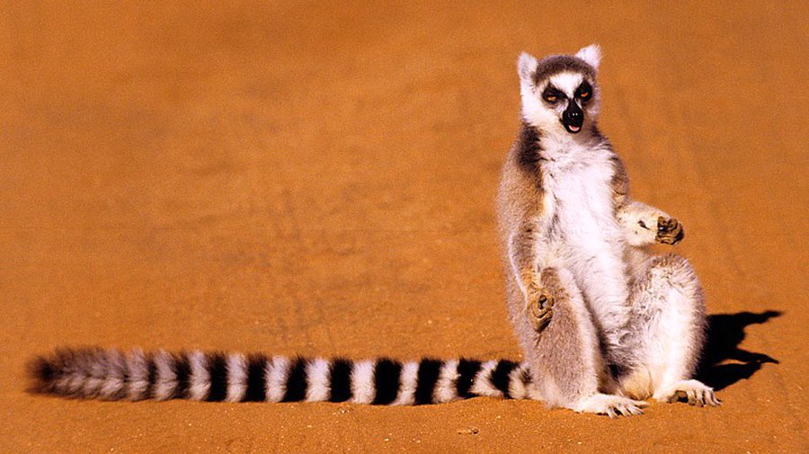 ВИЧ существует 4 миллиона лет - Наука и здоровье