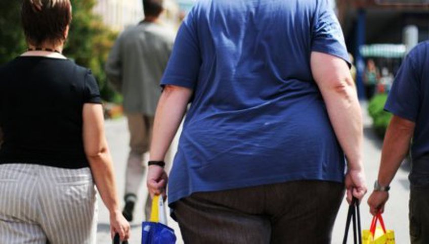 Доклад: раньше умирали от голода, теперь от ожирения


