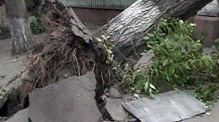 В Белоруссии штормовой ветер, ливни и град обесточили более 450 населенных пунктов - В Мире