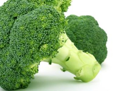 Брокколи: польза и применение в кулинарии - Наука и здоровье