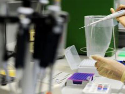 Во Вьетнаме зарегистрирован случай гибели от птичьего гриппа - В Мире