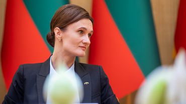 V. Čmilytė-Nielsen Seime tikisi diskusijų dėl III liberalizavimo etapo atidėjimo: manau, kad tai nėra optimalus sprendimas