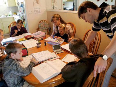 Педагогика на коленке: в какой стране лучше учиться на дому - Мир молодежи