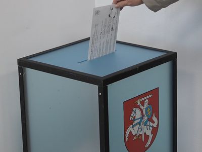 Сейм одобрил проект поправки к Конституции, предоставляющей 16-летним право избирать мэров и членов местных советов  (добавлено видео) - Литва и страны Балтии