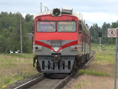 В Игналинском районе поезд сбил мужчину - Происшествия и криминал