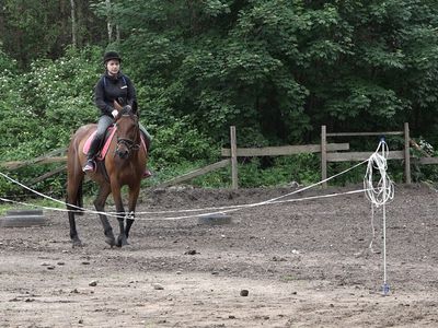 13 июня клуб «Baltas Mustangas» провел соревнования по конному спорту (видео) - В Висагинасе