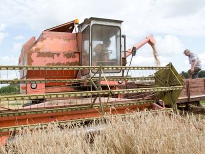 Трудяги процветают и в литовской деревне – получают тысячные зарплаты - Литва и страны Балтии