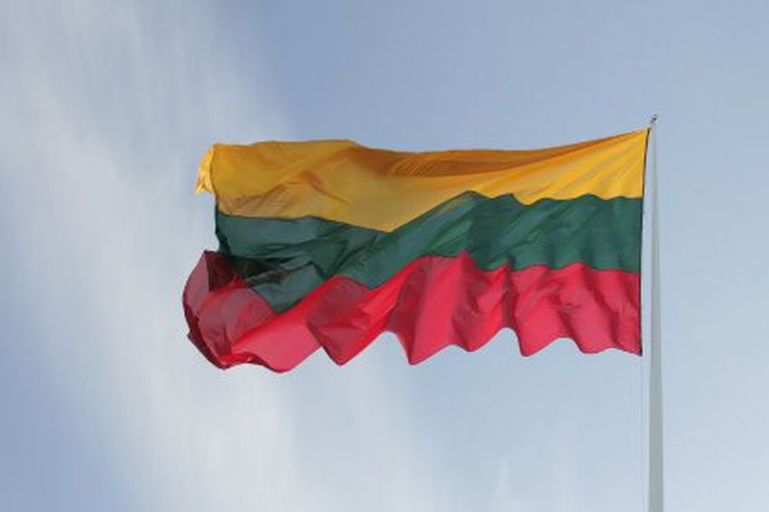 
Стратегия: внешняя и внутренняя угрозы для Литвы