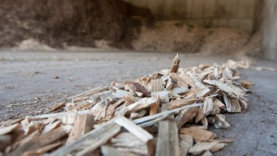 В Биржай, Скуодасе и Казлу Руде за биотопливо платят как за газ - Литва и страны Балтии