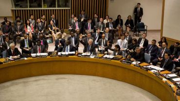 Литва стремится стать непостоянным членом Совета Безопасности ООН – насколько реальны наши возможности и зачем это нужно?