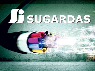 UAB „Sugardas“ - šiuolaikinės televizija ir internetas - Reklama