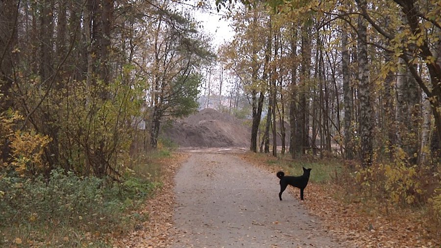 Что происходит сегодня в прибрежной зоне? - В Висагинасе