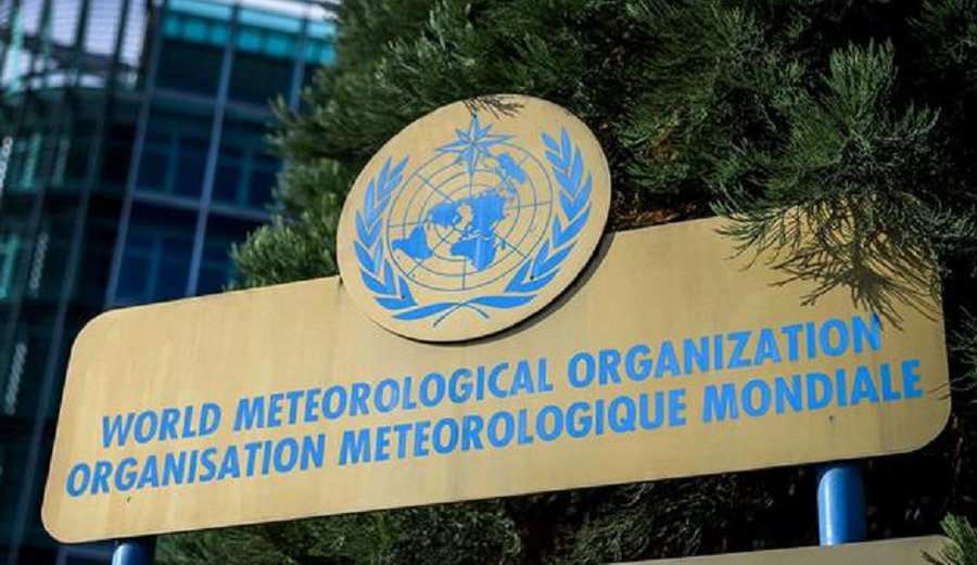 В ООН считают, что 2020 год может войти в пятерку самых теплых в истории наблюдений - Это интересно