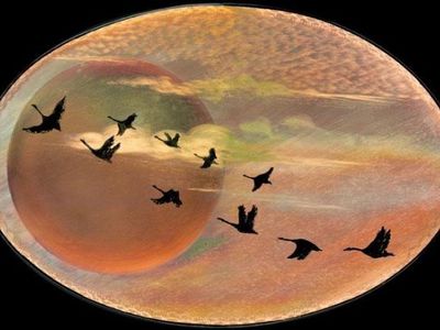 За год эмиграция из Литвы выросла в полтора раза - Литва и страны Балтии