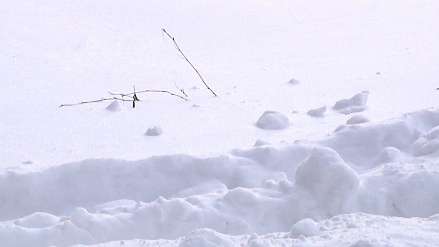 А снег идет … - В Висагинасе