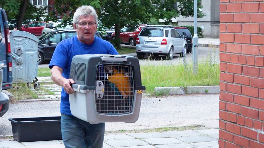 Laida "Savaitės kontūrai" 2024-06-18 (video) - Visagine