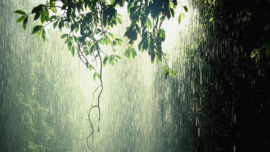 Прогноз погоды на неделю: в Литве идут дожди - Литва и страны Балтии