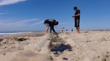 Prie Kalifornijos krantų išsiliejus naftai, uždaromi paplūdimiai