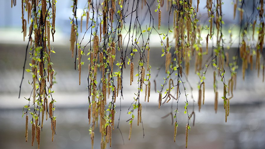 Sekminės Visagine - Visagine