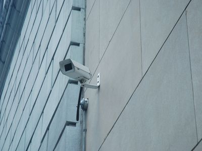 Преступлений в Литве стало меньше - Происшествия и криминал