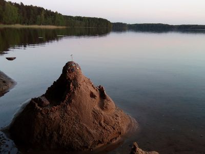Висагинас за неделю: «собачий» вопрос оказался важнее всех остальных - В Висагинасе