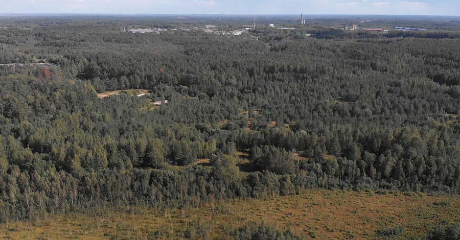 Мэр – о создании свободной экономической зоны и о квартале частных домов (видео) - В Висагинасе