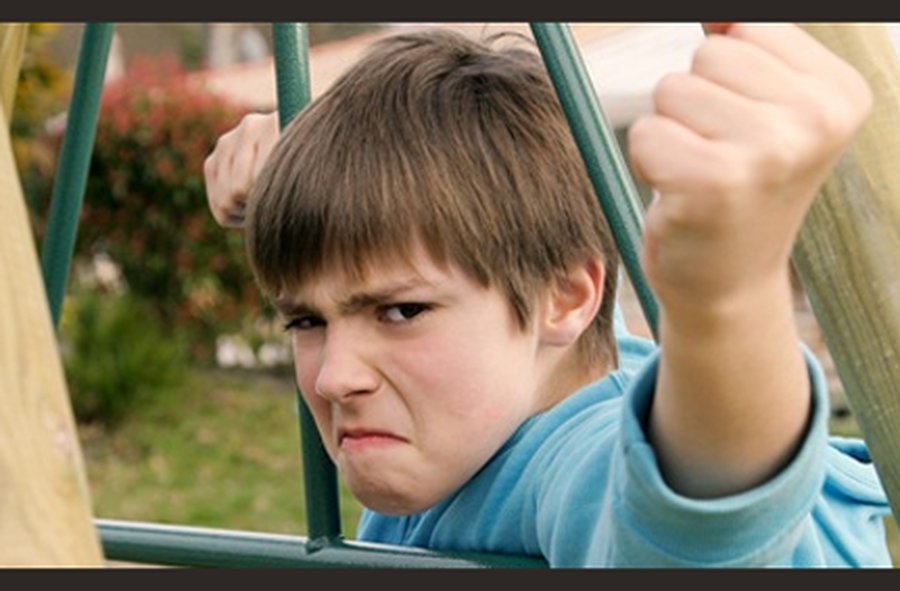 Победители ведут себя агрессивно по отношению к проигравшим - Наука и здоровье