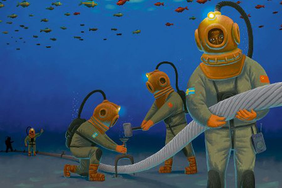 Анна Мейзер: Литва обрела «энергетическую независимость» от здравого смысла - Энергетика