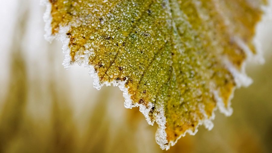 Синоптики: погода будет переменчивой - Литва и страны Балтии