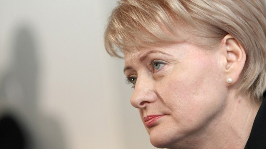 Президент Литвы наложила вето на закон о сокращении выплат по уходу за ребенком - Литва и страны Балтии