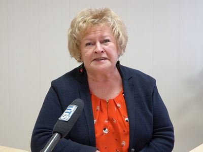 Светлана Шадченева: «Ждем вас в Доме творчества!» (видео) - В Висагинасе