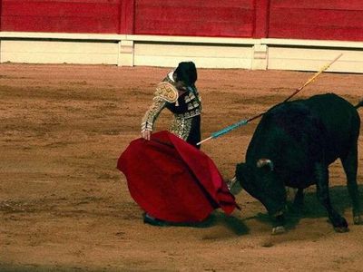 Каталония отказалась от корриды - Хобби, отдых и развлечения