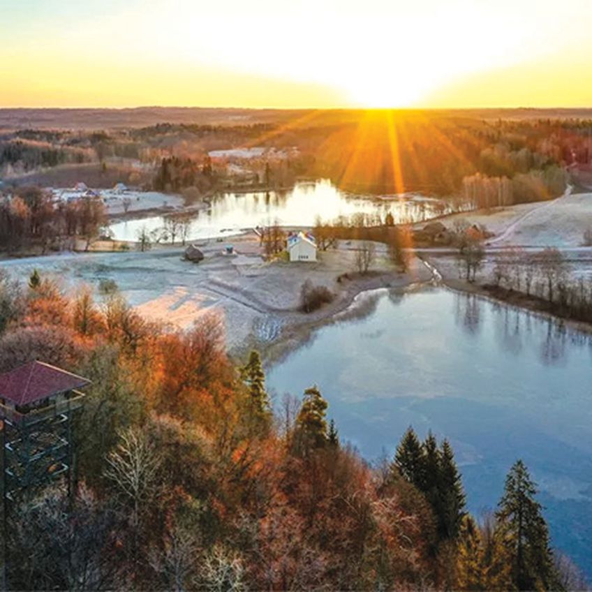 Veclaicenė – 2019 m. nugalėtoja