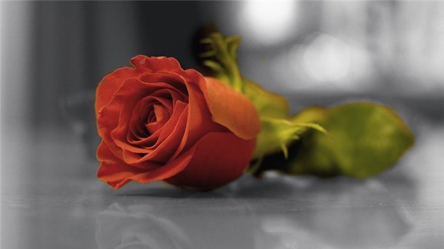 Поздравляем с юбилеем! - Поздравления