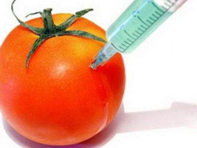 Lietuvoje genetiškai modifikuoti organizmai ir toliau vertinami prieštaringai 
 - Lietuva ir Baltijos šalys