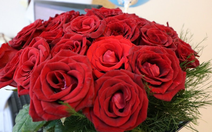 Лидию Александровну Катульскую - с 85-летием! - Поздравления