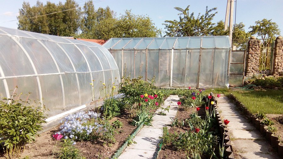 Зарегистрирован состав правления "Павасарис" вместе с председателем - В Висагинасе