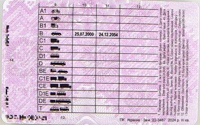 Иностранка с поддельным водительским удостоверением работала водителем сервиса перевозок в Литве - Происшествия и криминал